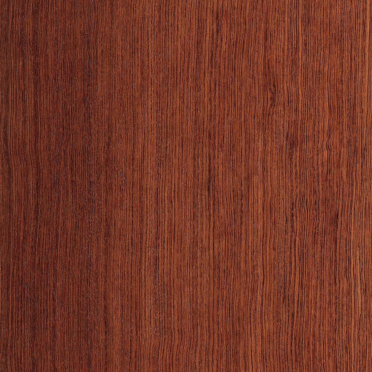 Veneer Library | 100+ Species | FormWood Industries