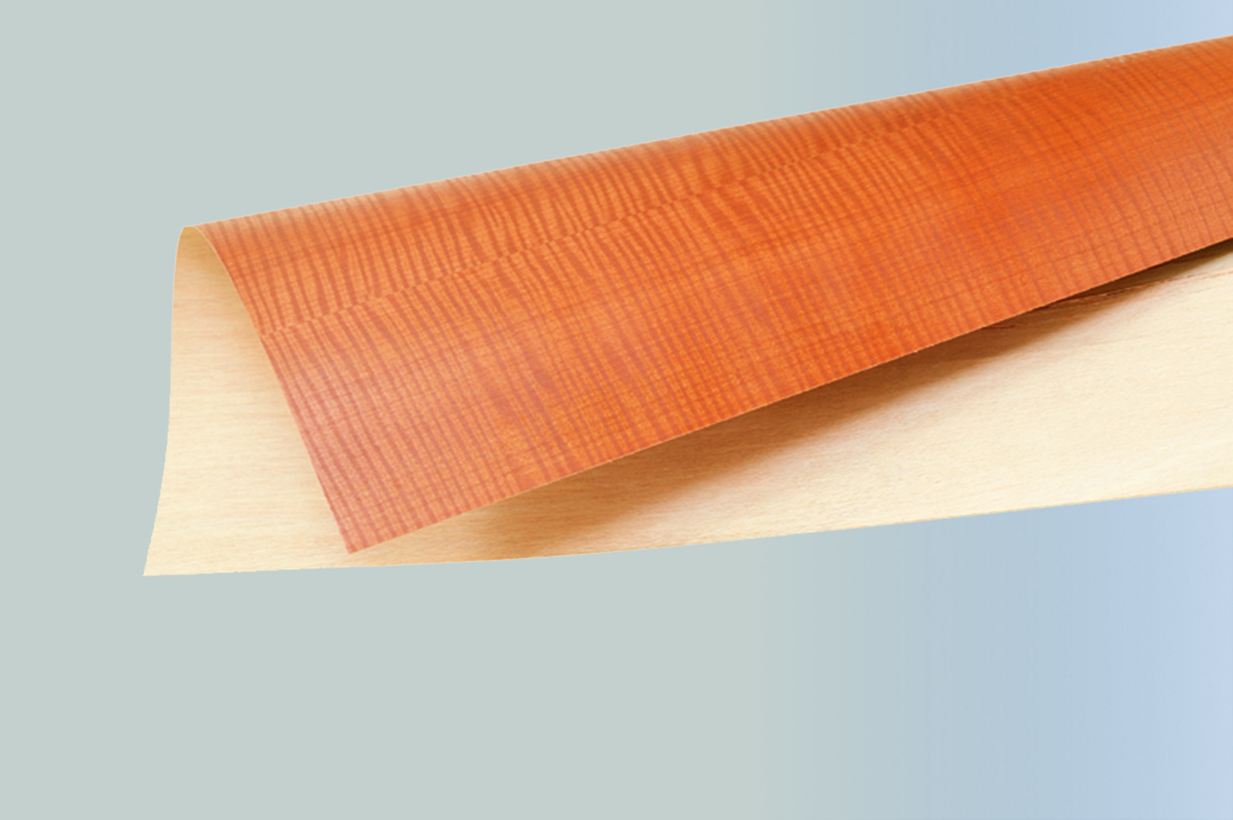 NBL Veneer